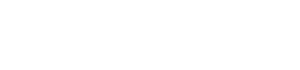 The Village Company
